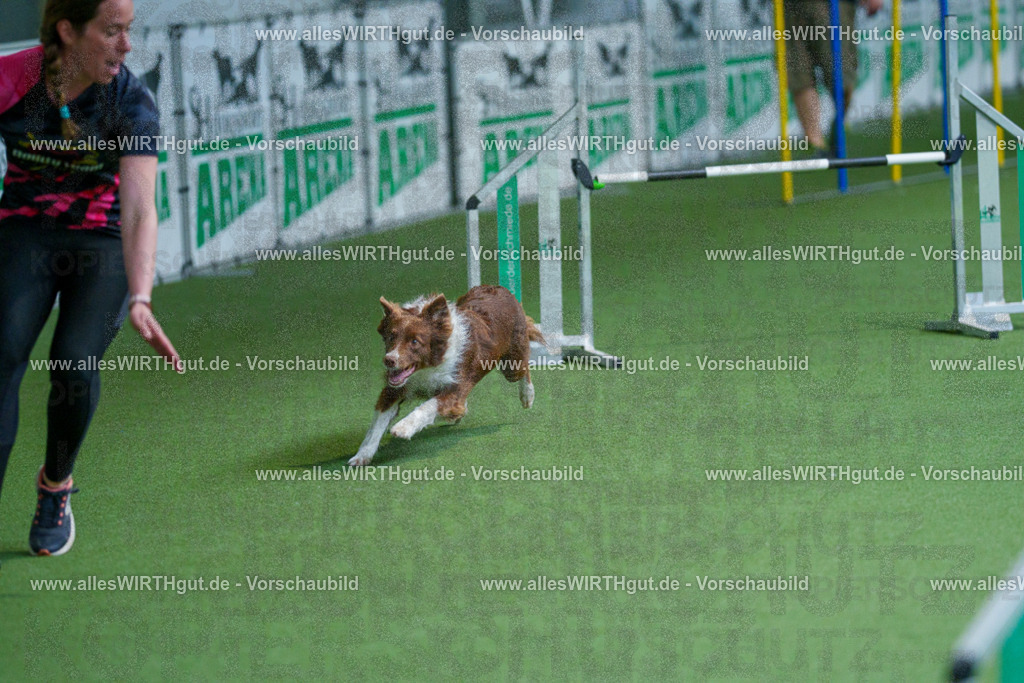 @allesWIRTHgut_Tierfotografie - www.allesWIRTHgut.de - 2604261527-7R505619 | Professionelle Tierfotografie in Mönchengladbach von Daniel Wirth (allesWIRTHgut). Liebevolle & natürliche Bilder von Hunden & Katzen für unvergessliche Erinnerungen.