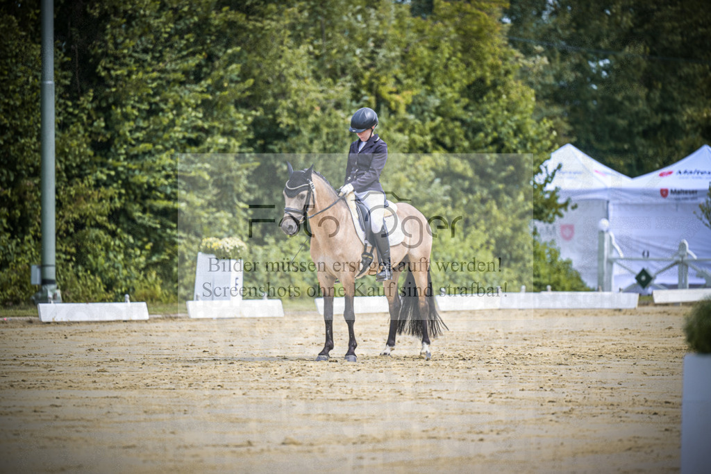 DOS_0135 | Entdecke hochwertige Reitturnierfotos von Foto Oger. Professionell, emotional und authentisch – jetzt Lieblingsmomente im Shop bestellen.Deutschlandweite Turnierfotografie. - Realisiert mit Pictrs.com