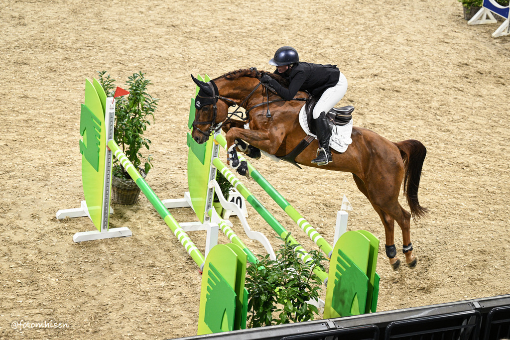 301025-11-024 | Foto Mhisen Pferdefotografie#, Reitturnier Frankfurt#  #Dressur und Springen
#Profi Pferdefotograf Reitturnier Fotograf 
#Sport Horses Photographer 
#equestrain photographer - Realisiert mit Pictrs.com