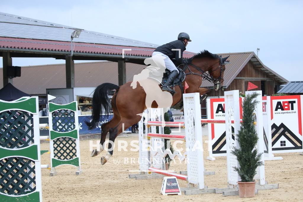 DL2Q3617 | Willkommen bei Brunnmayr - Design & Fotografie – Ihrem Spezialisten für Reitturniere und Pferdeveranstaltungen in Oberösterreich, Salzburg und Bayern! Seit über 17 Jahren sind wir leidenschaftlich dabei.