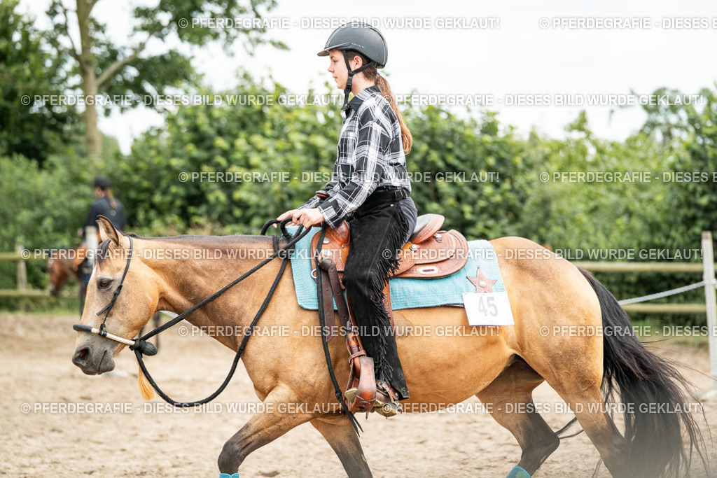 DSC01399 | Pferdegrafie