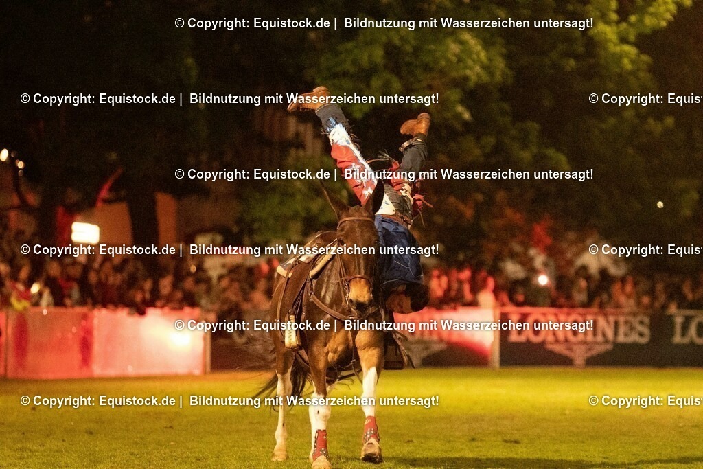 20230526_Pferdenacht_1331 | equistock