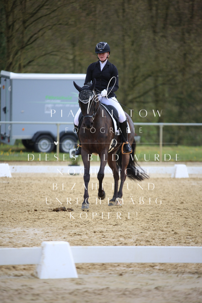 IMGT7025 | pl-fotografie