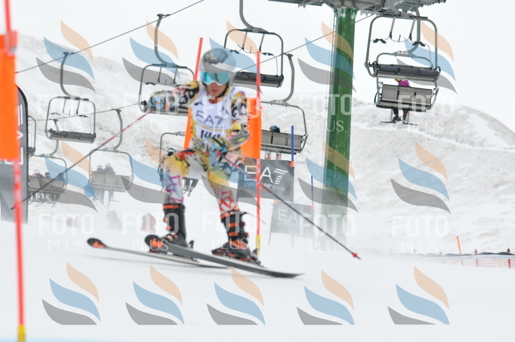 DSC_8917 | holidayphoto