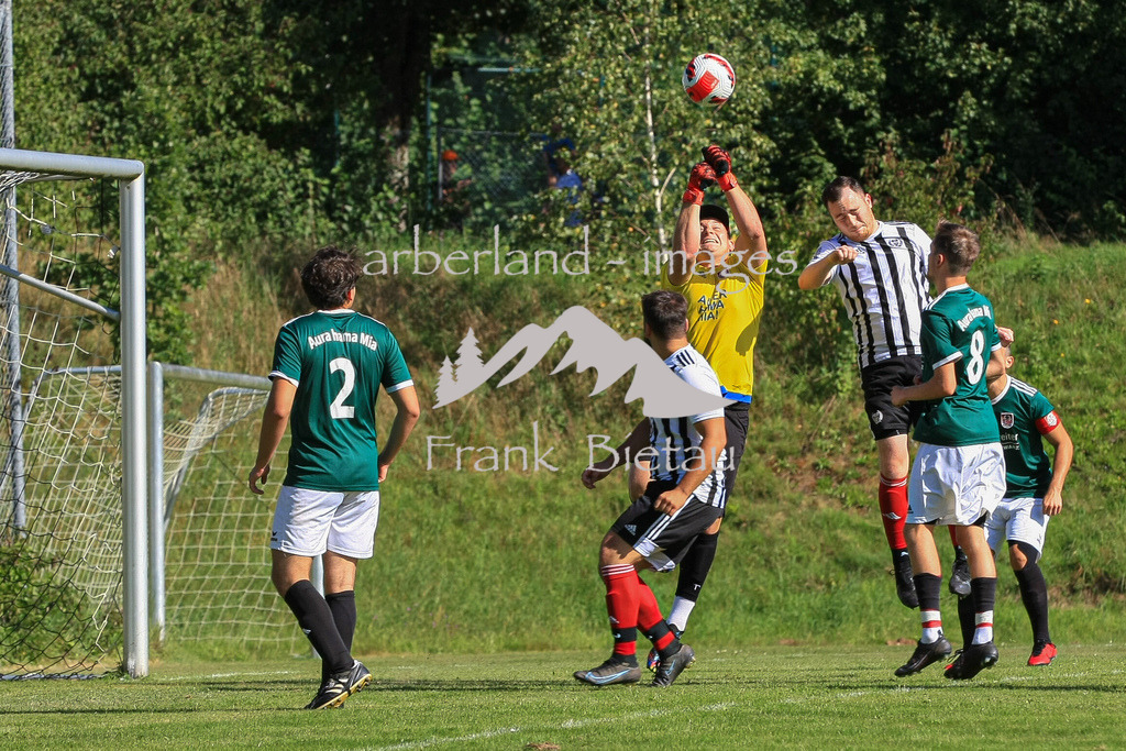 993T8761 | Medien- Sport- Entertainmentfotos