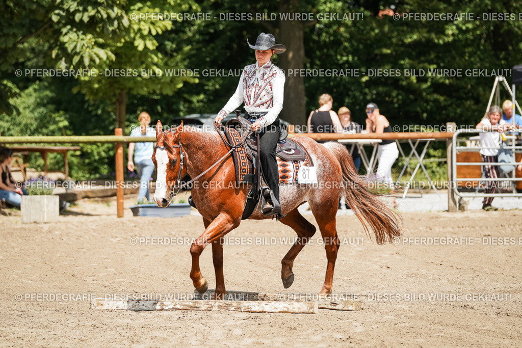 DSC07730 | Pferdegrafie