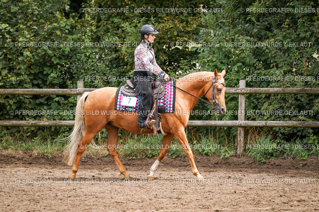 DSC04632 | Pferdegrafie