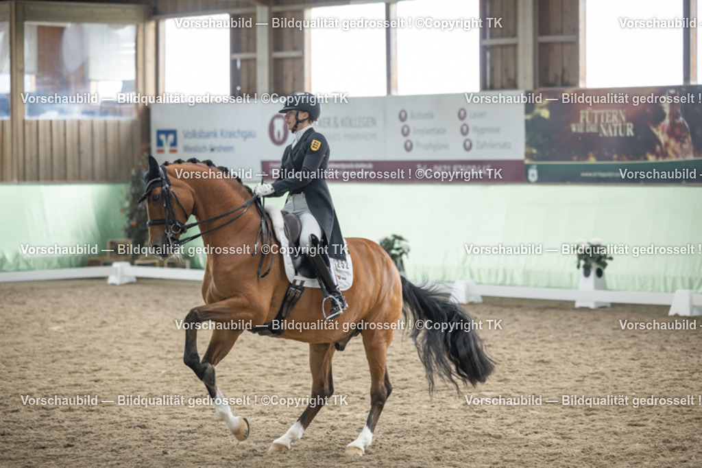 _D5A5971 | Emotionale Pferde- & People-Fotografie rund um Heidelberg, Leimen & Umgebung. Natürliche Fotos von Pferd, Mensch & Familie. Jetzt Termin sichern!