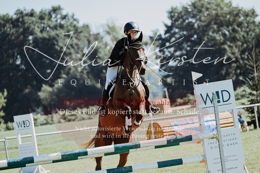 DSC_5568 | Pferde- und Turnierfotografie in Westsachsen. Pferdeportraits, Auftragszeichnungen und intuitive Kunst.