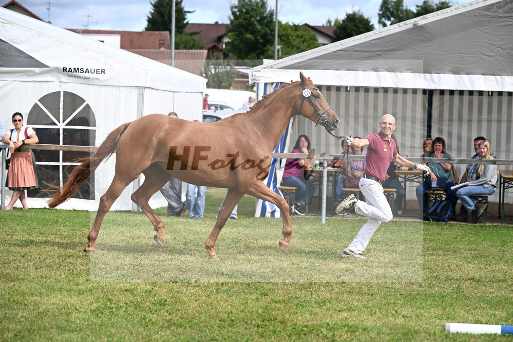Kat-Nr. 32 Zimtschnecke v. Zack_Lechl_30250806 | hf-fotografie - Realizzato con Pictrs.com