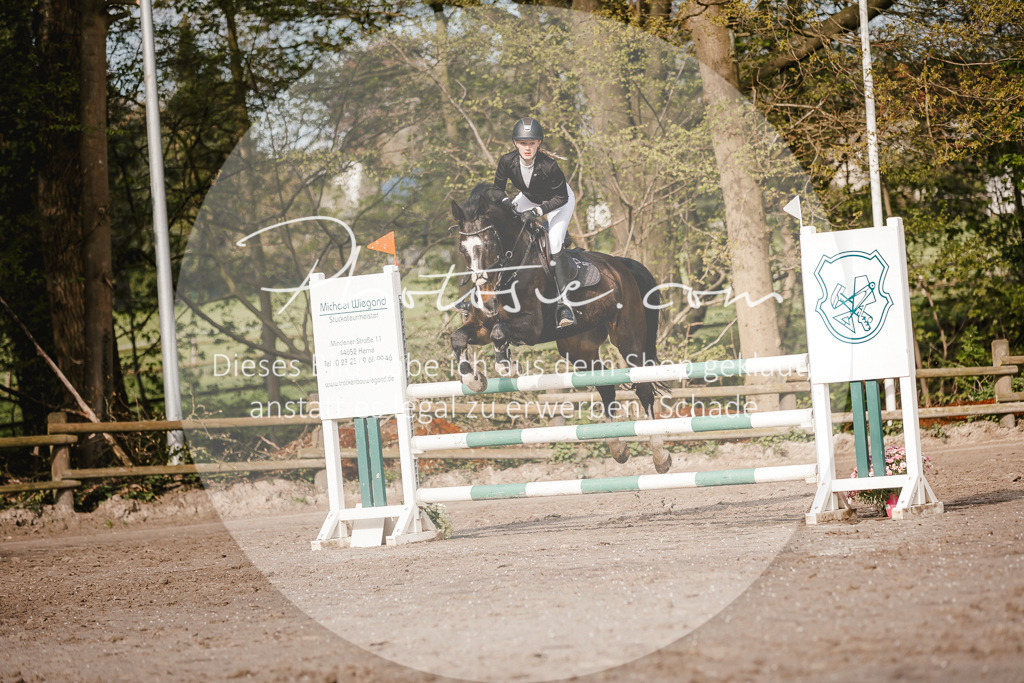 3I6A3485 | Stimmungsvolle Portraits und Reitsportfotografie im Ruhrgebiet und im Münsterland.

Pferdefotografie, Hundefotografie, Tierfotografie, Reportagen, Portraits von Tier und Mensch, Turnierfotografie in Bochum, Recklinghausen, Marl, Haltern am See, Dülmen.. - Realisiert mit Pictrs.com