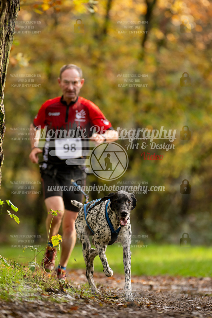MompixPhotography_Bischwiller23_Canicross-49 | PayLife