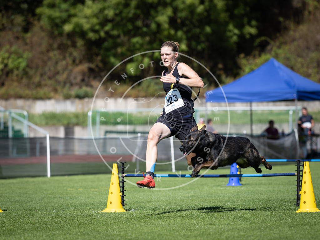 Pfotenfotografie_DV3A5492 | Hundefotografie, Tierfotograf, Pfotenfotografie, Fotoshooting Hund, Hunde Portrait, Hundesport, Hundeportraits, Heideshooting, Hunde, Sportfotograf, Hundefotograf, Turnierhundsport, THS,  - Realisiert mit Pictrs.com
