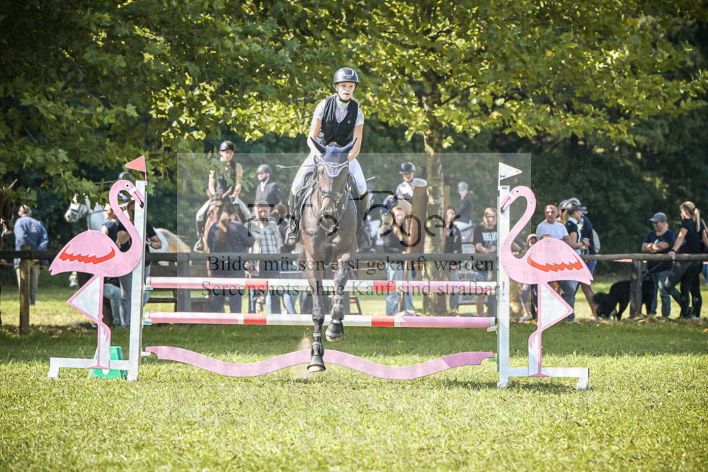 DOS_0277 | Entdecke hochwertige Reitturnierfotos von Foto Oger. Professionell, emotional und authentisch – jetzt Lieblingsmomente im Shop bestellen.Deutschlandweite Turnierfotografie. - Realisiert mit Pictrs.com