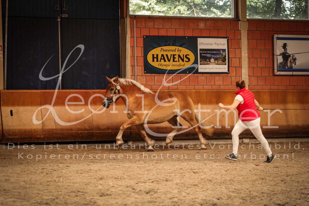 SaFL00279 | Leoni Ertmer Photography - Realisiert mit Pictrs.com