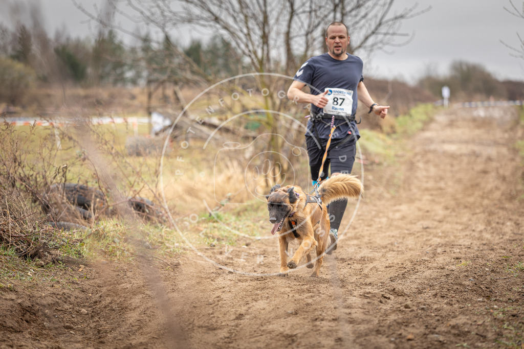DV3A9928 | Hundefotografie, Tierfotograf, Pfotenfotografie, Fotoshooting Hund, Hunde Portrait, Hundesport, Hundeportraits, Heideshooting, Hunde, Sportfotograf, Hundefotograf, Turnierhundsport, THS,  - Realisiert mit Pictrs.com