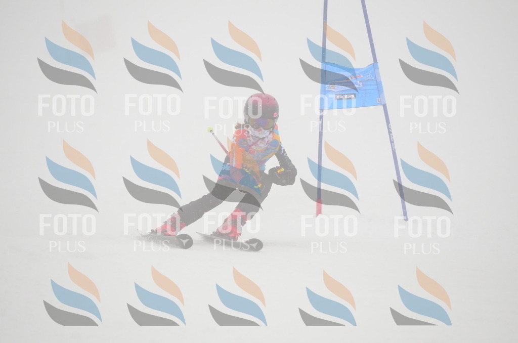 C1292 | holidayphoto