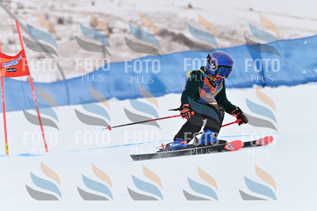 BGV_9577 | holidayphoto