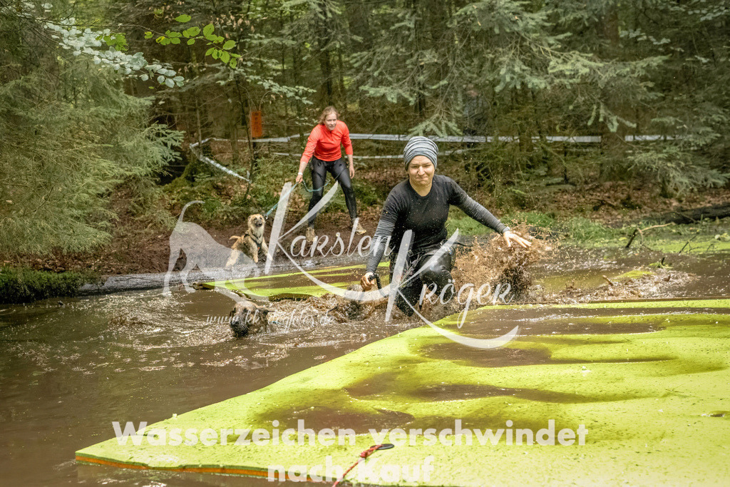 1412_ZZ91523-Bearbeitet | kk-dogfotos