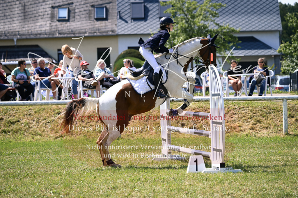 DSC_0334 | Pferde- und Turnierfotografie in Westsachsen. Pferdeportraits, Auftragszeichnungen und intuitive Kunst.