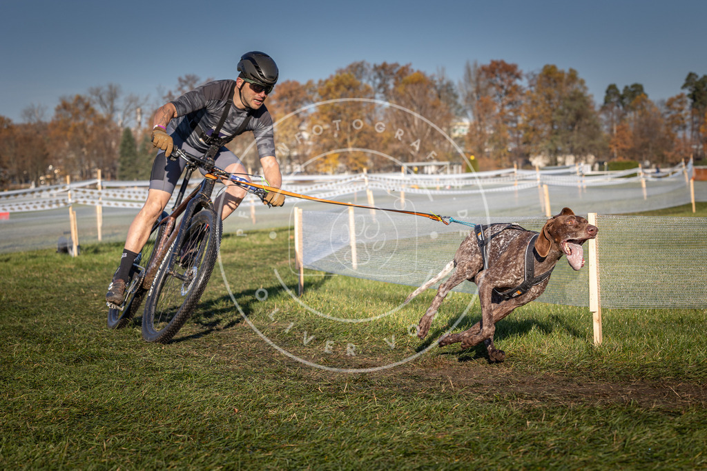 CaniXpix_0L8A4340 | Hundefotografie, Tierfotograf, Pfotenfotografie, Fotoshooting Hund, Hunde Portrait, Hundesport, Hundeportraits, Heideshooting, Hunde, Sportfotograf, Hundefotograf, Turnierhundsport, THS,  - Realisiert mit Pictrs.com