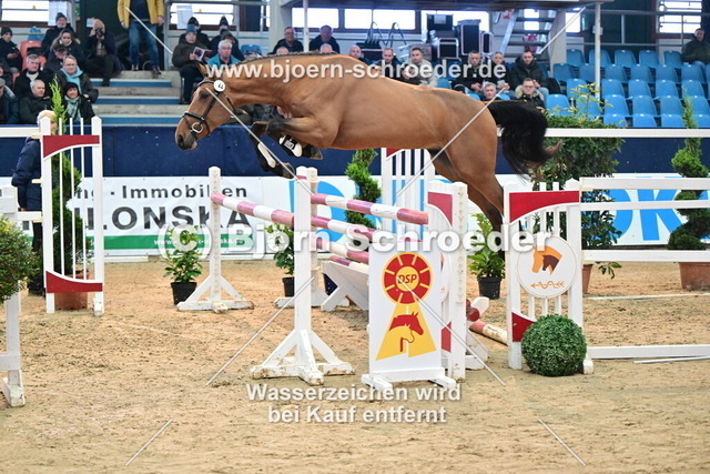 44_Cha-Cha-H - Baloubet du Rouet_967_7067 | Björn Schroeder Pferdefotografie