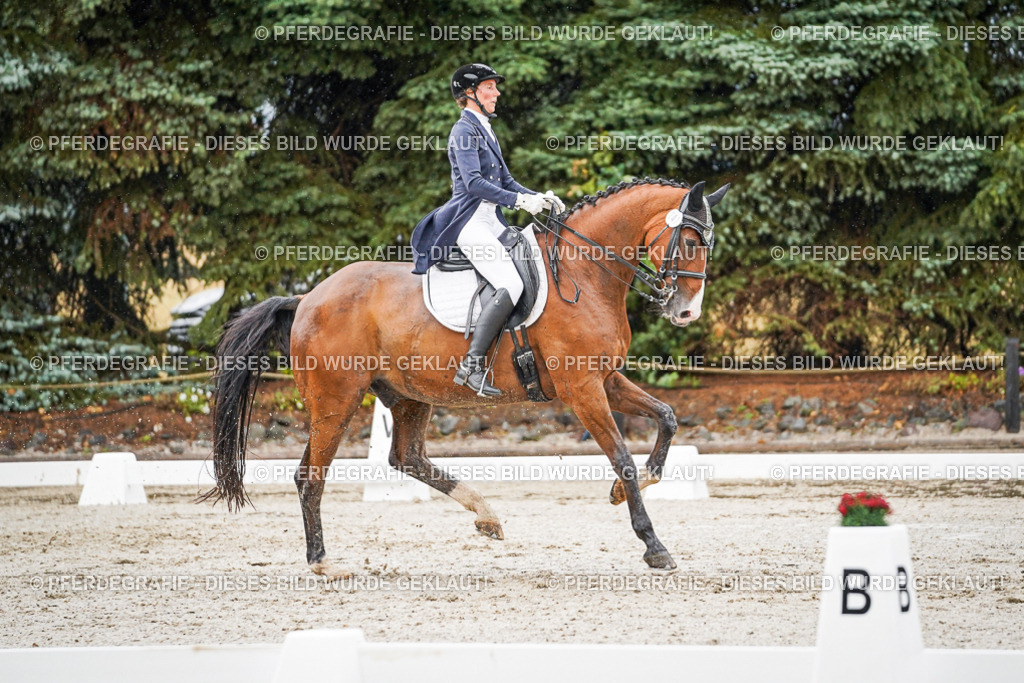 DSC08687 | Pferdegrafie