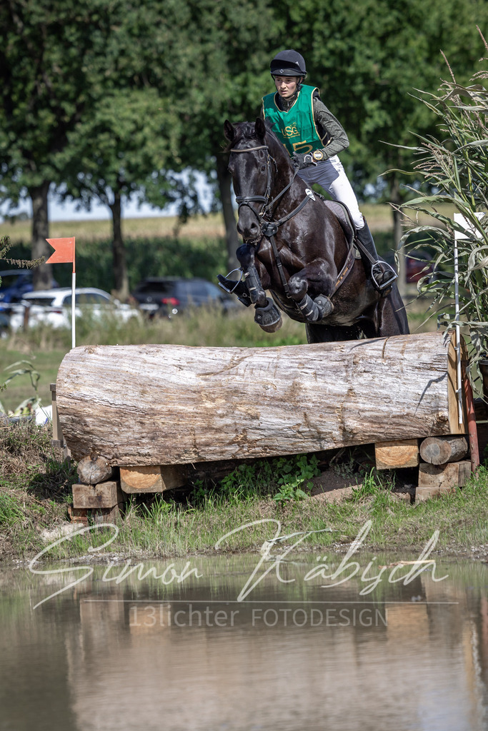 20250907-_3LI1614 | Tierfotografie Pferde, Hunde, Katzen, Haustiere.
Turnierfotografie Reitturniere, Reiten, Springreiten, Dressur in Hanau, dem Main-Kinzig-Kreis und dem Rhein-Main- Gebiet um Frankfurt