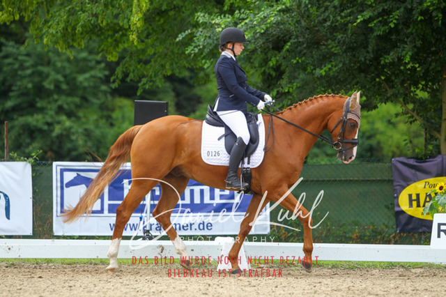 DKP40481 | Turniersportfotografie; Pferdefotografie; Dressurfotografie