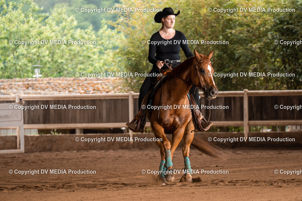 Erbach Tag 2-715 | dv-media-shop - Realisiert mit Pictrs.com