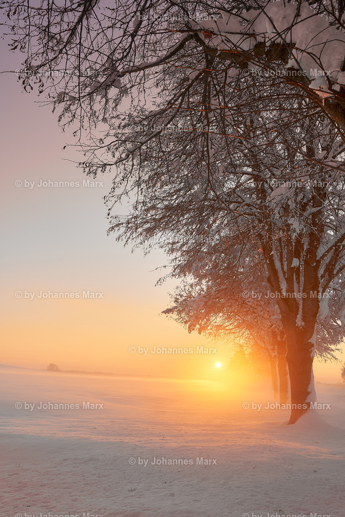 Wintersonnenenergie | Professionelle Landschaftsfotografie, Inneneinrichtung, Kunst für Ihre Wohnung, Kanzlei, Praxis oder als Geschenk. Aussuchen und einfach liefern lassen. Raumgestaltungsberatung auf Anfrage. - Realisiert mit Pictrs.com