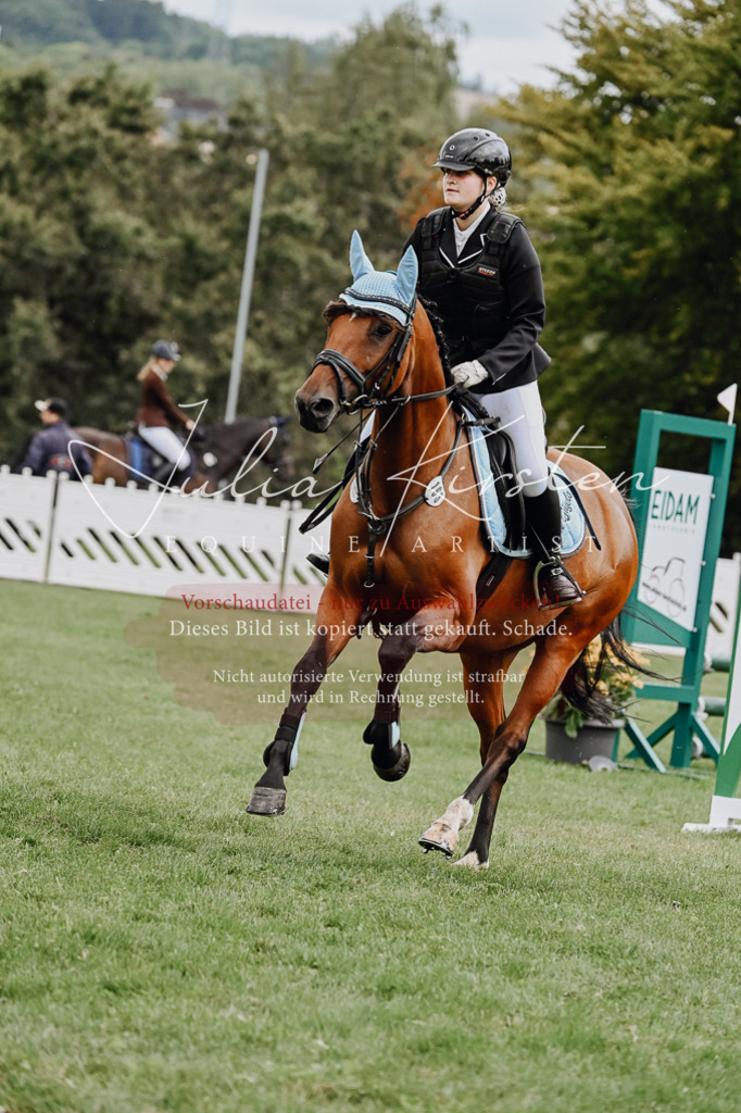 DSC_6829 | Pferde- und Turnierfotografie in Westsachsen. Pferdeportraits, Auftragszeichnungen und intuitive Kunst.