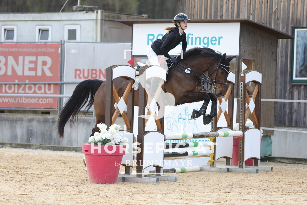 0P6A7214 | Willkommen bei Brunnmayr - Design & Fotografie – Ihrem Spezialisten für Reitturniere und Pferdeveranstaltungen in Oberösterreich, Salzburg und Bayern! Seit über 17 Jahren sind wir leidenschaftlich dabei.