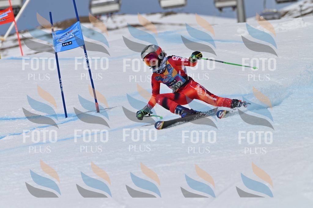 BGV_6000 | holidayphoto