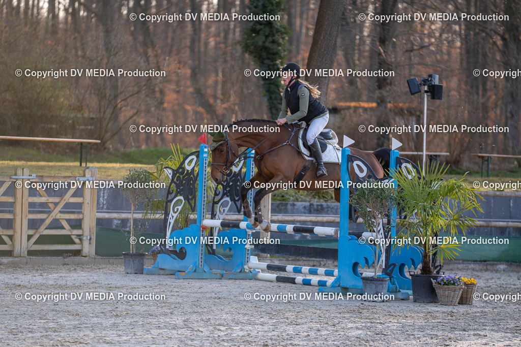 DSC-225 | dv-media-shop - Realisiert mit Pictrs.com