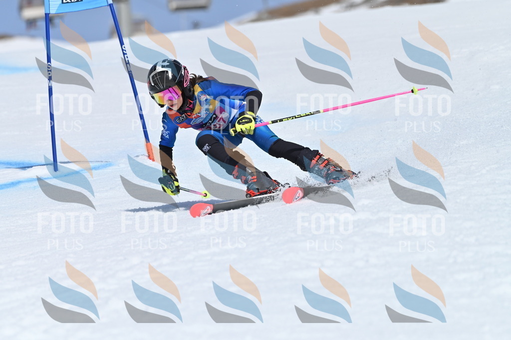 BGV_0186 | holidayphoto