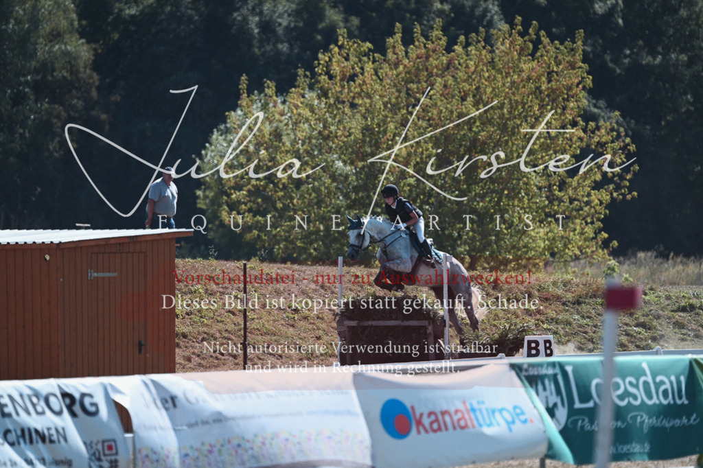 DSC_8462 | Pferde- und Turnierfotografie in Westsachsen. Pferdeportraits, Auftragszeichnungen und intuitive Kunst.