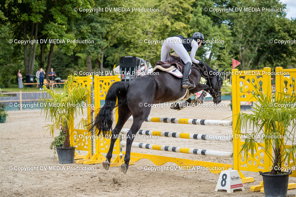 Hessische Tag 1-872 | dv-media-shop - Realisiert mit Pictrs.com