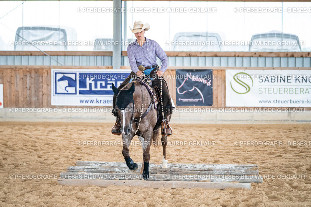 DSC03278 | Pferdegrafie