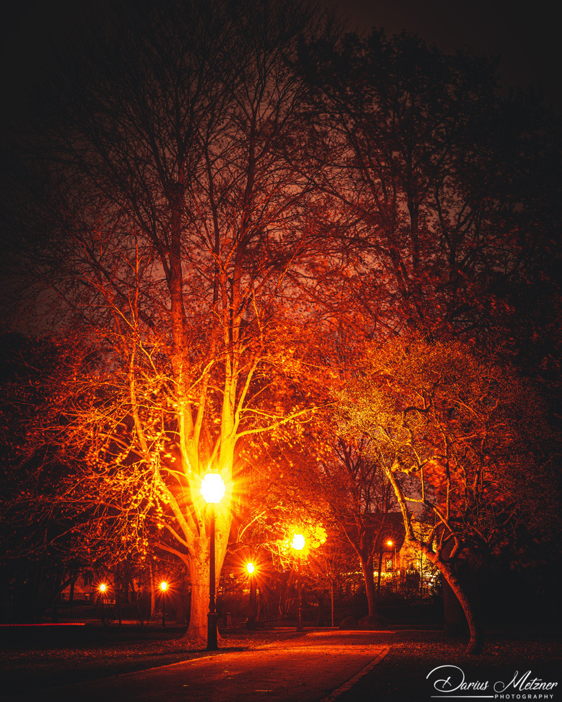 Der Biebricher Schlosspark Wiesbaden | Der Biebricher Schlosspark Wiesbaden