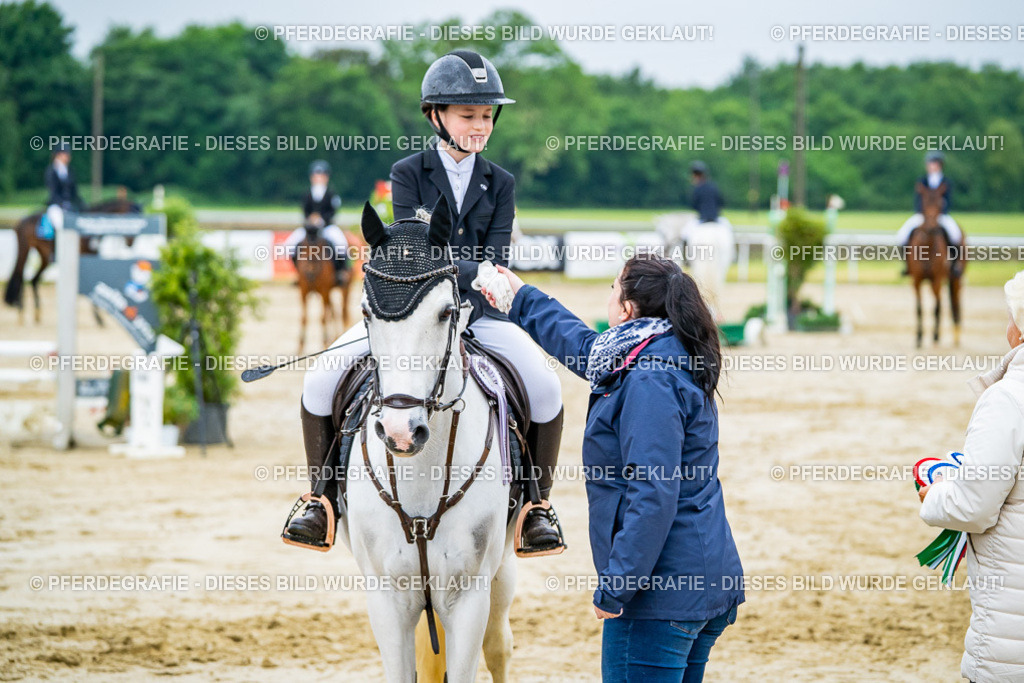 DSC02794 | Pferdegrafie