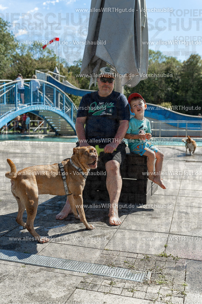 Hundeschwimmen_Volksbad_2026-allesWIRTHgut_Tierfotografie-2609061251-120147-7R500215 | Professionelle Tierfotografie in Mönchengladbach von Daniel Wirth (allesWIRTHgut). Liebevolle & natürliche Bilder von Hunden & Katzen für unvergessliche Erinnerungen.