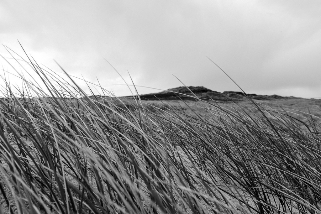 Sylt | Simone Sonderegger Photography