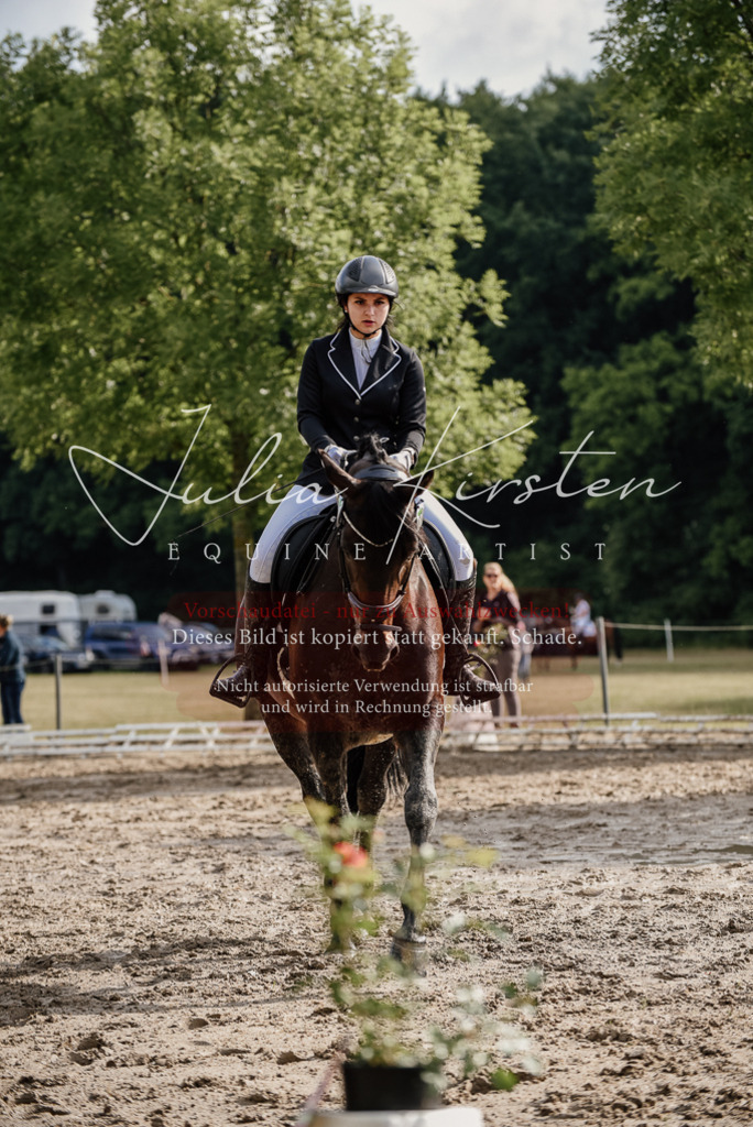 DSC_8622 | Pferde- und Turnierfotografie in Westsachsen. Pferdeportraits, Auftragszeichnungen und intuitive Kunst.