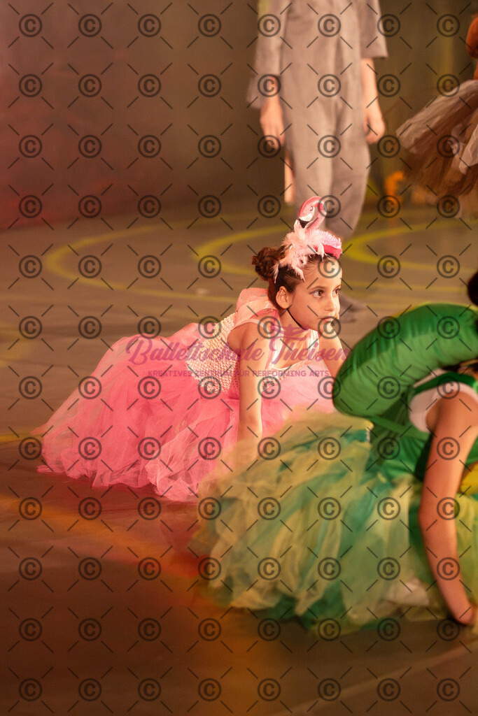 Ballettaufführung-1700 | Bildershop Lem'n Entertainment - Realisiert mit Pictrs.com