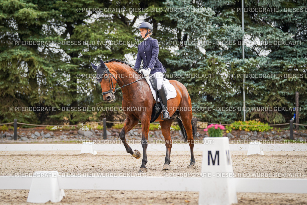 DSC01939 | Pferdegrafie