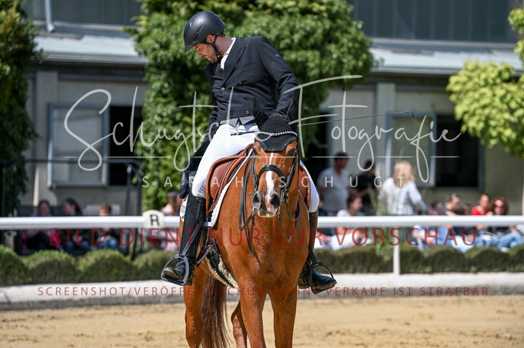 Schugtsche-Aluta25-58. Dressurprf.S1Kand.St.GeorgSpecial-45 | Schugtsche Fotografie - Realisiert mit Pictrs.com