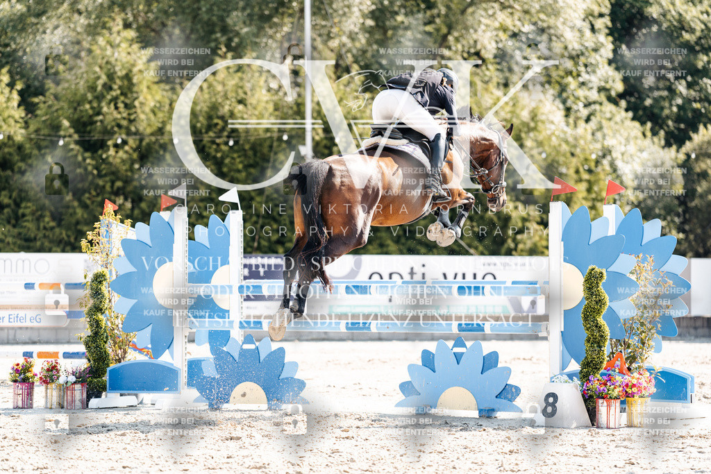 CK902674 | Turnierfotografie Pferdefotografie Trier Rheinland-Pfalz Pferdesport Reitsport Tierfotografie Sportfotografie Pferdevideo Pferdevideografie Equestrianvideography equestrianphotography  - Realisiert mit Pictrs.com
