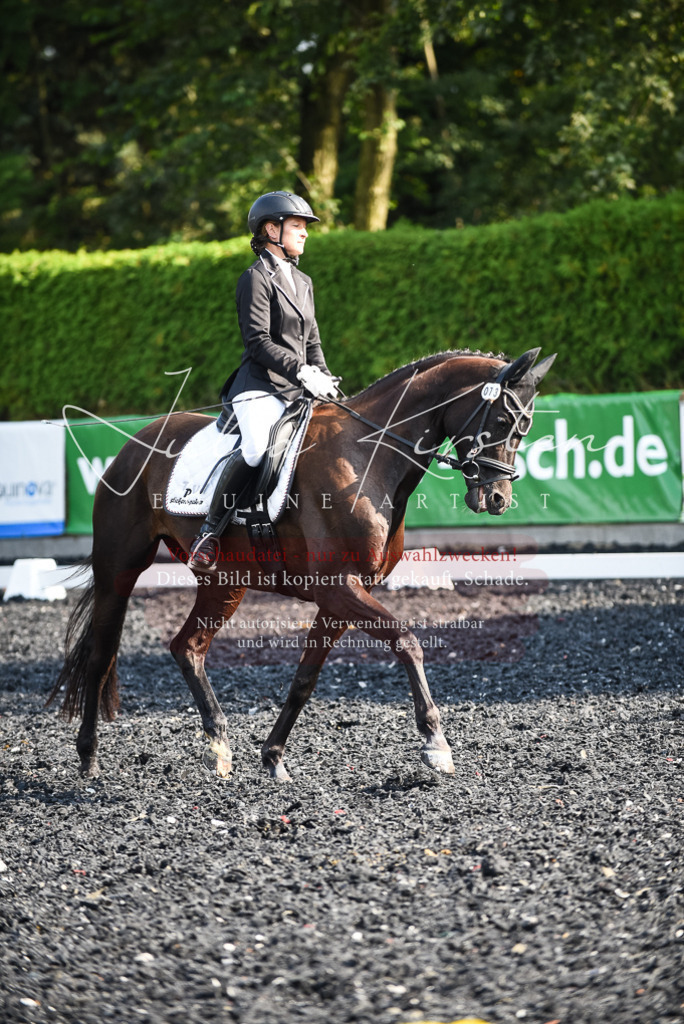 DSC_3173 | Pferde- und Turnierfotografie in Westsachsen. Pferdeportraits, Auftragszeichnungen und intuitive Kunst.