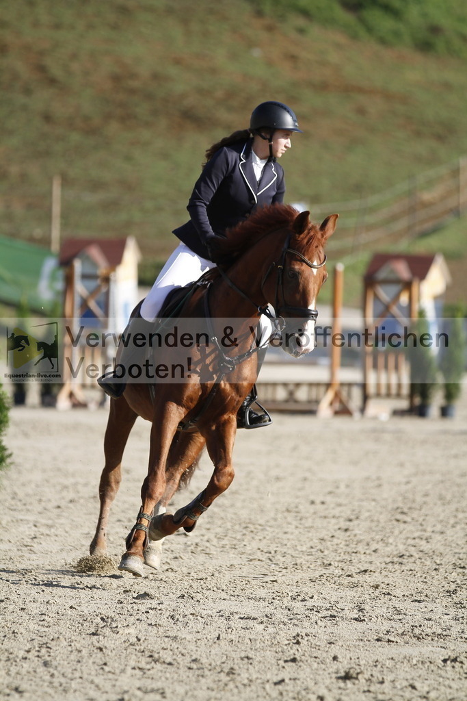 _MG_3482 | equestrian-live-com